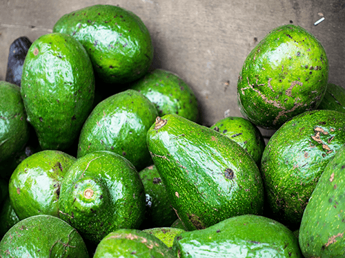 Avocado harvest - perfect for 4 Pack C60 Organic Avocado Oil